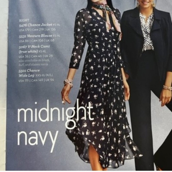 Cabi Size 14 Dream Dress Navy Floral Sheer With Slip - Picture 3 of 12
